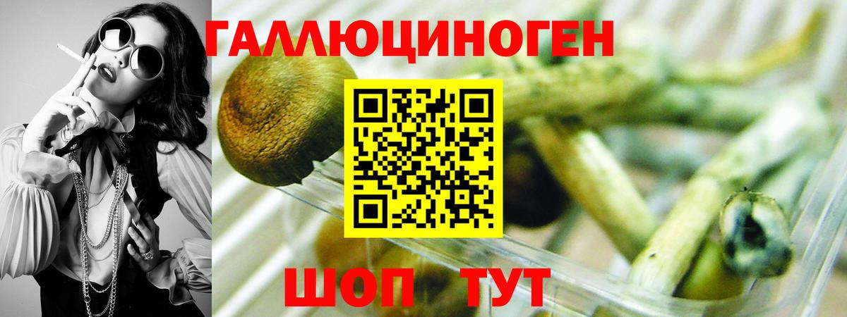 Галлюциногенные грибы GOLDEN TEACHER  Вход с VPN  Галлюциногенные грибы прущие грибы  Великие Луки 