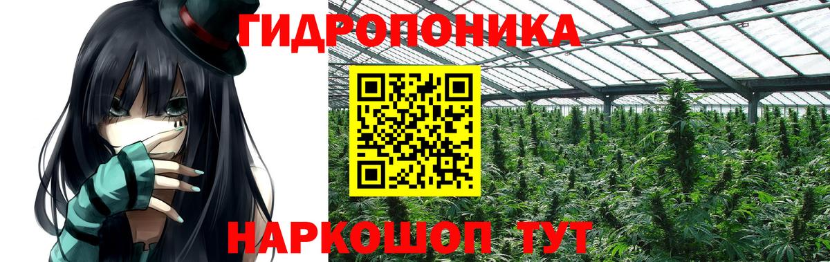 Великие Луки  МАРИХУАНА тримм  Канабис VHQ  Вход с VPN  Шишки марихуана гибрид  Бошки Шишки THC 21% 